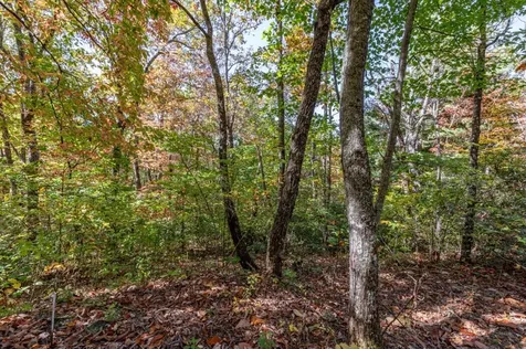 Lot 38 Skyview At Wildlife Acres Hayesville NC 28904