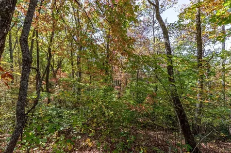 Lot 38 Skyview At Wildlife Acres Hayesville NC 28904
