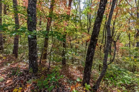 Lot 38 Skyview At Wildlife Acres Hayesville NC 28904