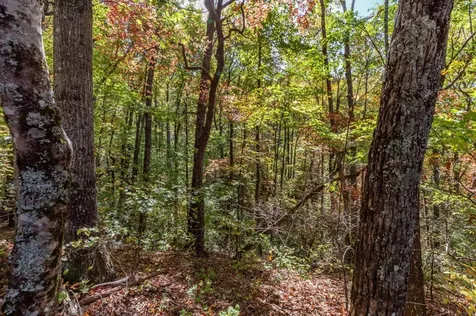 Lot 38 Skyview At Wildlife Acres Hayesville NC 28904