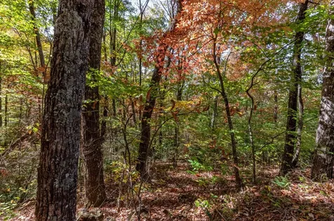 Lot 38 Skyview At Wildlife Acres Hayesville NC 28904