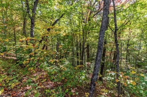 Lot 38 Skyview At Wildlife Acres Hayesville NC 28904