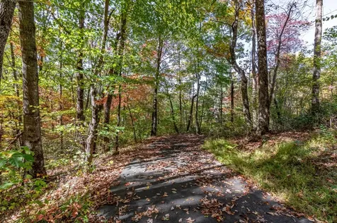 Lot 38 Skyview At Wildlife Acres Hayesville NC 28904