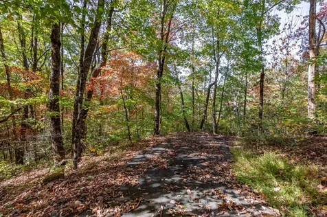 Lot 38 Skyview At Wildlife Acres Hayesville NC 28904