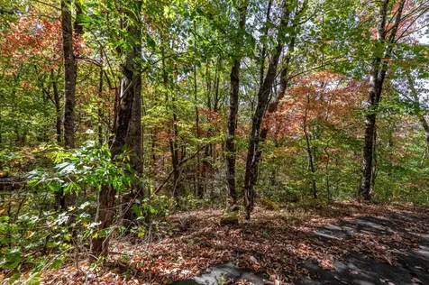 Lot 38 Skyview At Wildlife Acres Hayesville NC 28904