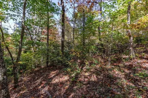 Lot 38 Skyview At Wildlife Acres Hayesville NC 28904
