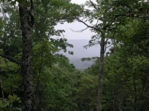 19D&E Braves Landing Murphy NC 28906