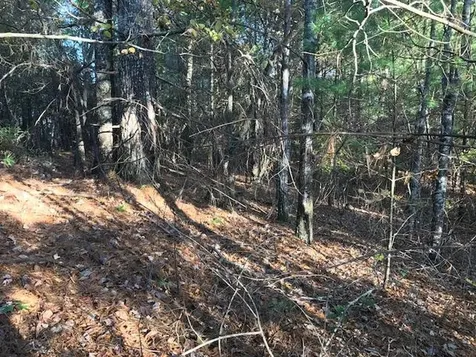 19D&E Braves Landing Murphy NC 28906