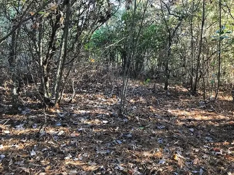 19D&E Braves Landing Murphy NC 28906
