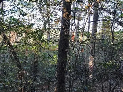 19D&E Braves Landing Murphy NC 28906