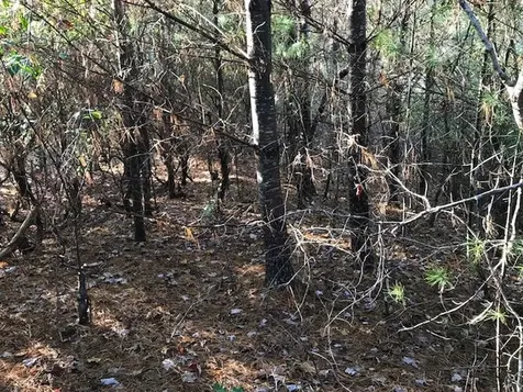 19D&E Braves Landing Murphy NC 28906