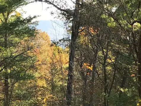 19D&E Braves Landing Murphy NC 28906