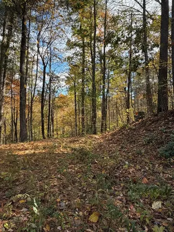 47/48 Little Secret Lane Murphy NC 28906