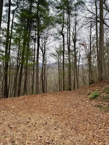 47/48 Little Secret Lane Murphy NC 28906