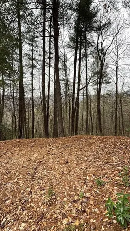 47/48 Little Secret Lane Murphy NC 28906