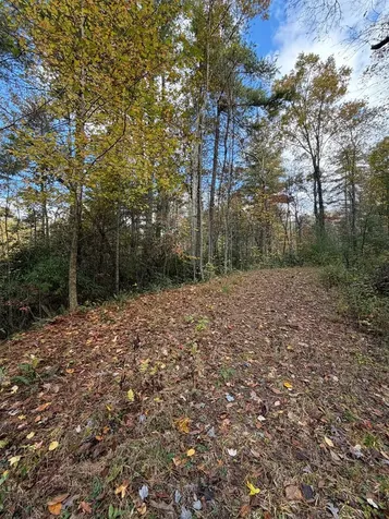 47/48 Little Secret Lane Murphy NC 28906