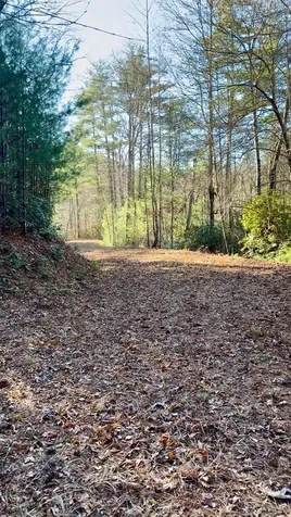 47/48 Little Secret Lane Murphy NC 28906