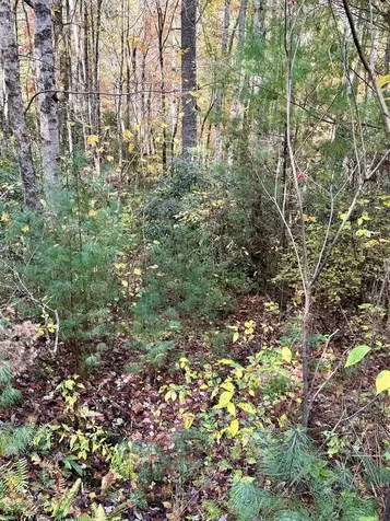 47/48 Little Secret Lane Murphy NC 28906