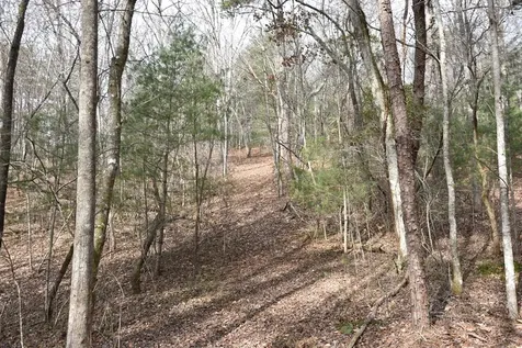 167 Swaims Hayesville NC 28904