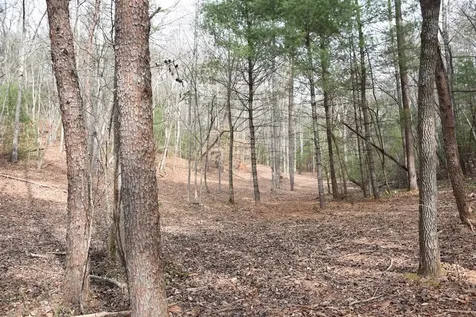 167 Swaims Hayesville NC 28904