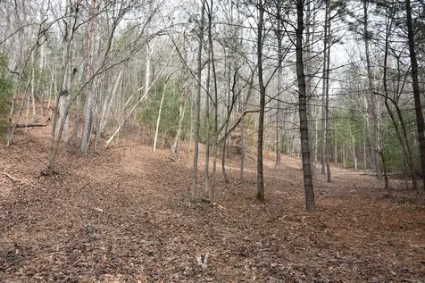 167 Swaims Hayesville NC 28904