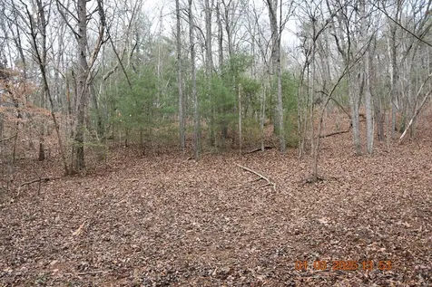 167 Swaims Hayesville NC 28904