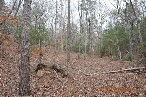 167 Swaims Hayesville NC 28904
