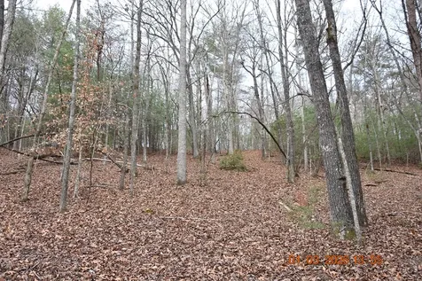 167 Swaims Hayesville NC 28904