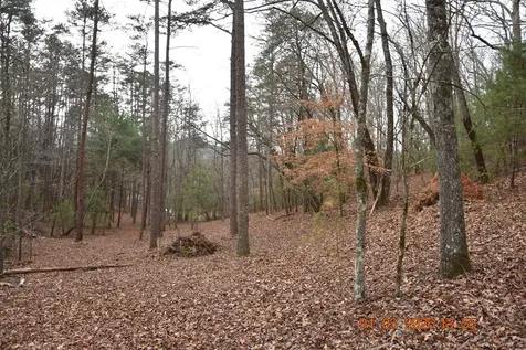 167 Swaims Hayesville NC 28904