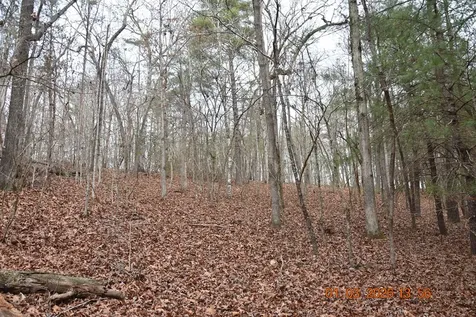 167 Swaims Hayesville NC 28904