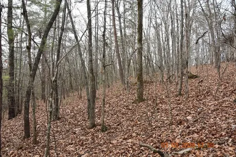 167 Swaims Hayesville NC 28904