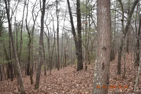 167 Swaims Hayesville NC 28904