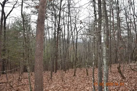 167 Swaims Hayesville NC 28904