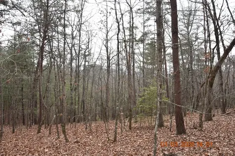 167 Swaims Hayesville NC 28904