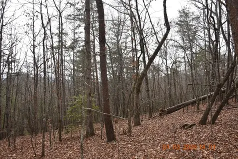 167 Swaims Hayesville NC 28904