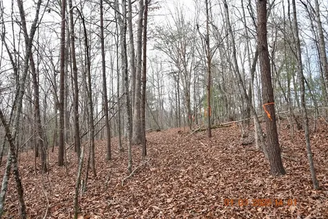 167 Swaims Hayesville NC 28904