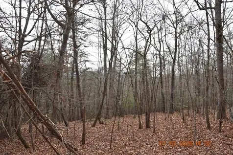 167 Swaims Hayesville NC 28904