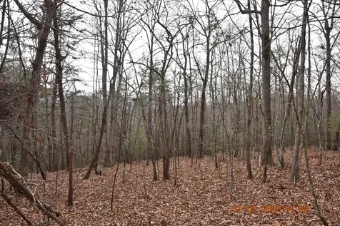 167 Swaims Hayesville NC 28904