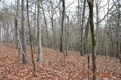 167 Swaims Hayesville NC 28904