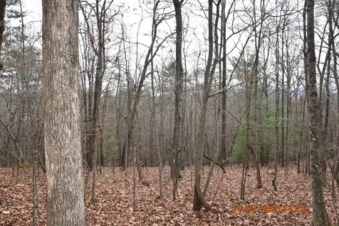 167 Swaims Hayesville NC 28904