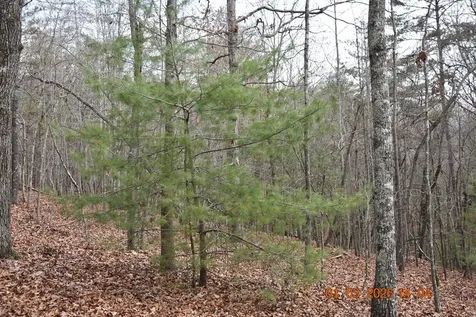 167 Swaims Hayesville NC 28904