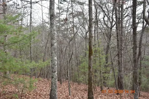 167 Swaims Hayesville NC 28904