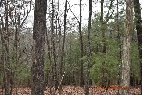 167 Swaims Hayesville NC 28904