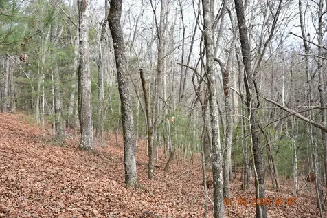 167 Swaims Hayesville NC 28904