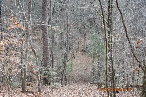 167 Swaims Hayesville NC 28904