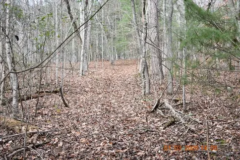 167 Swaims Hayesville NC 28904