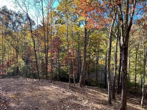1 Bartin Ridge Murphy NC 28906