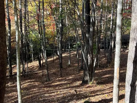 1 Bartin Ridge Murphy NC 28906