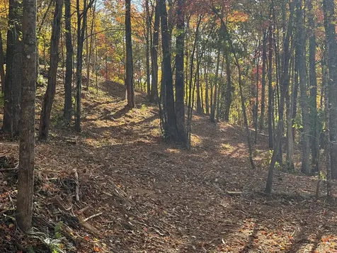 1 Bartin Ridge Murphy NC 28906
