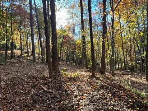 1 Bartin Ridge Murphy NC 28906